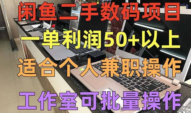 闲鱼二手数码项目，个人副业低保收入，工作室批量放大操作-时光论坛