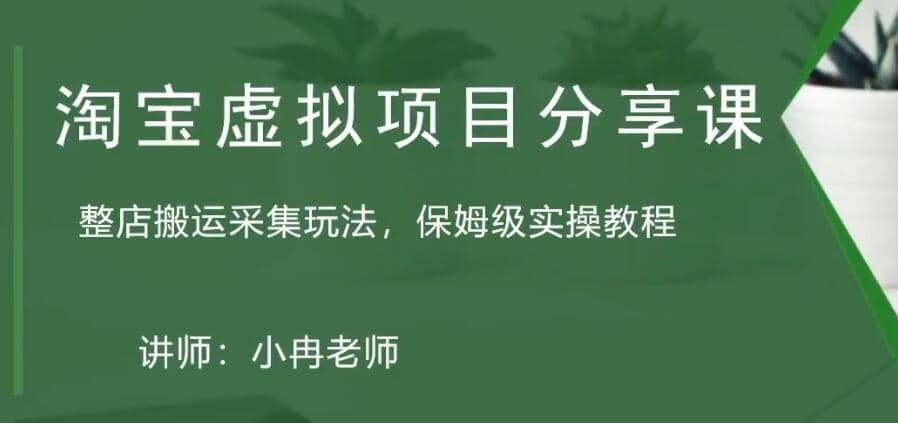 淘宝虚拟整店搬运采集玩法分享课：整店搬运采集玩法，保姆级实操教程-时光论坛