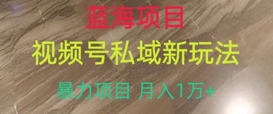 蓝海项目，视频号私域新玩法，暴力项目月入1万+【揭秘】-时光论坛