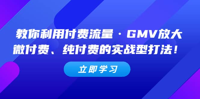 教你利用付费流量·GMV放大，微付费、纯付费的实战型打法-时光论坛