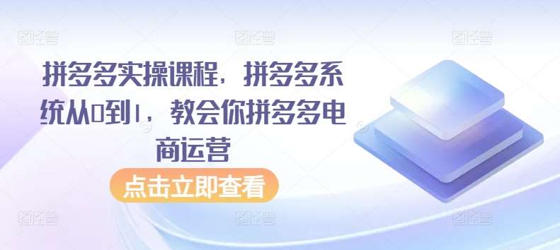 拼多多实操课程，拼多多系统从0到1，教会你拼多多电商运营-时光论坛