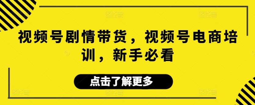 视频号剧情带货，视频号电商培训，新手必看-时光论坛