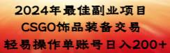 （8941期）2024年最佳副业项目 CSGO饰品装备交易 轻易操作单账号日入200+-时光论坛