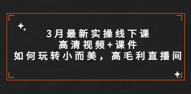 3月最新实操线下课高清视频+课件，如何玩转小而美，高毛利直播间-时光论坛