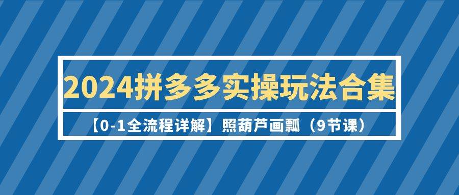 （9559期）2024拼多多实操玩法合集【0-1全流程详解】照葫芦画瓢（9节课）-时光论坛