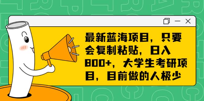 最新蓝海项目，只要会复制粘贴，日入800+，大学生考研项目，目前做的人极少-时光论坛