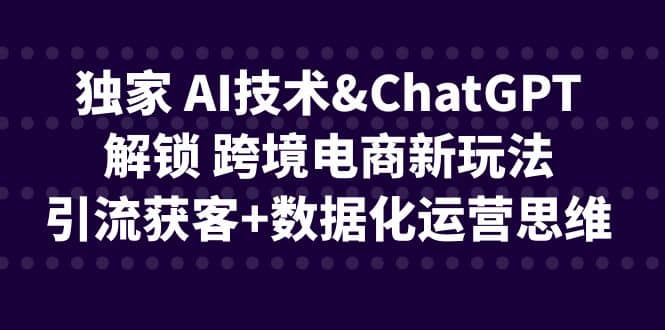 独家 AI技术ChatGPT解锁 跨境电商新玩法，引流获客+数据化运营思维-时光论坛