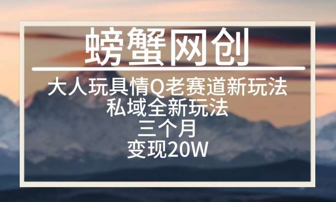 大人玩具情Q用品赛道私域全新玩法，三个月变现20W，老项目新思路【揭秘】-时光论坛