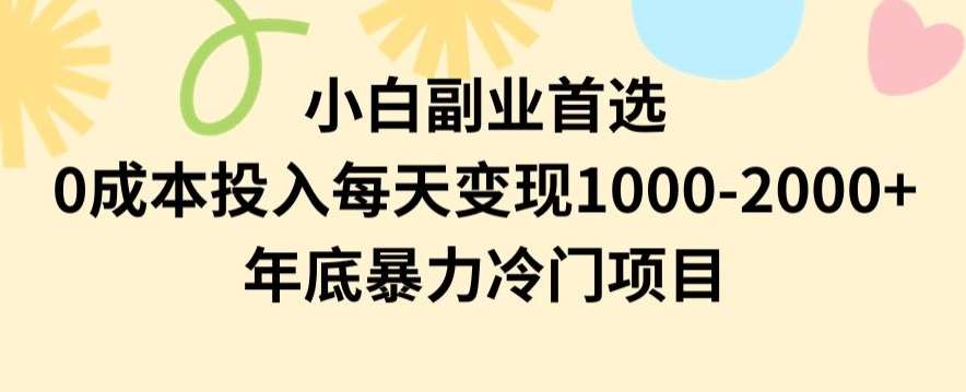 小白副业首选，0成本投入，每天变现1000-2000年底暴力冷门项目【揭秘】-时光论坛