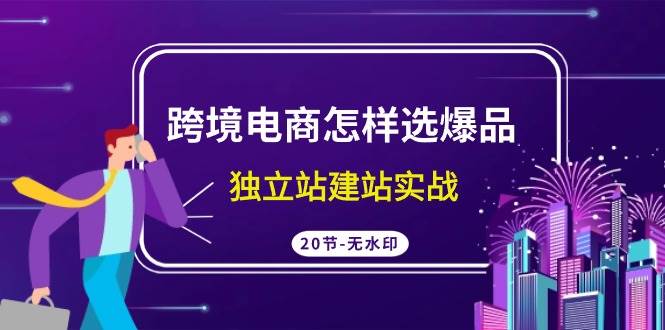 （9369期）跨境电商怎样选爆品，独立站建站实战（20节高清无水印课）-时光论坛