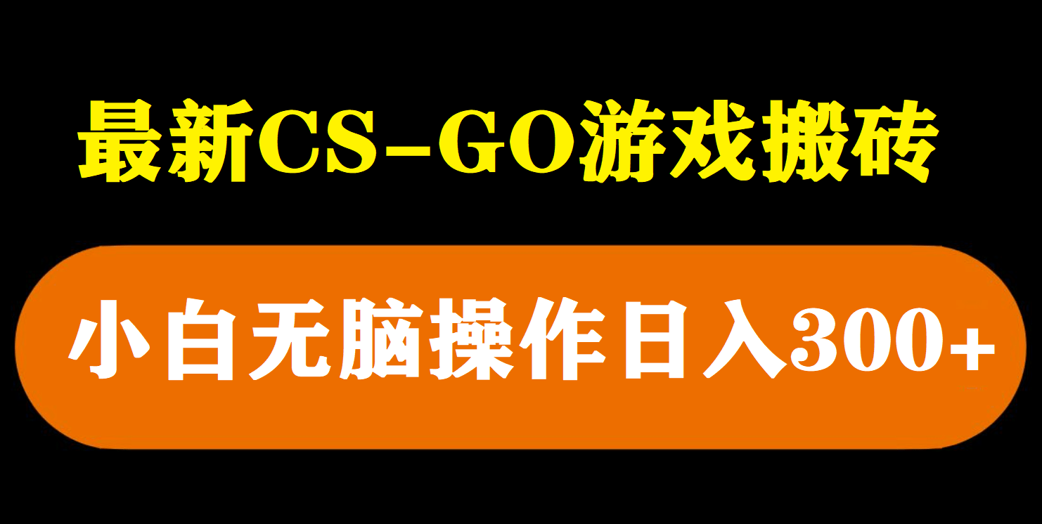 最新csgo游戏搬砖游戏，无需挂机小白无脑也能日入300+-时光论坛