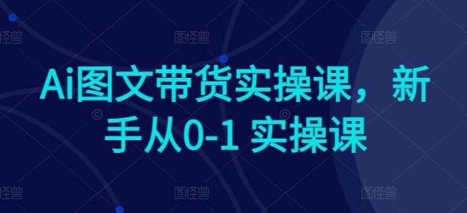 Ai图文带货实操课，新手从0-1 实操课-时光论坛