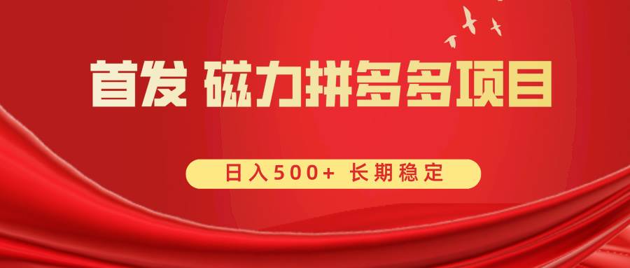 （8611期）首发 磁力拼多多自撸  日入500+-时光论坛
