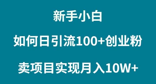 （9556期）新手小白如何通过卖项目实现月入10W+-时光论坛