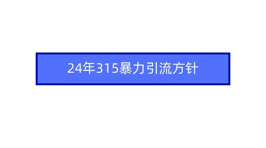 （9398期）2024年315暴力引流方针-时光论坛