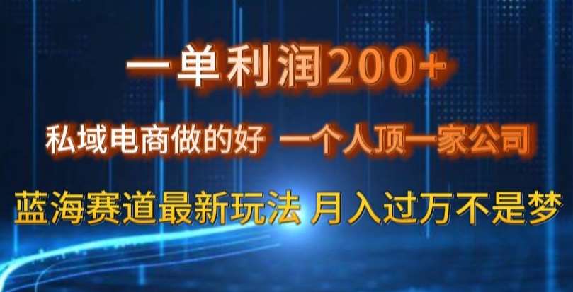 一单利润200私域电商做的好，一个人顶一家公司蓝海赛道最新玩法【揭秘】-时光论坛