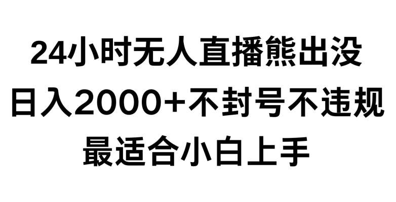 快手24小时无人直播熊出没，不封直播间，不违规，日入2000+，最适合小白上手，保姆式教学【揭秘】-时光论坛
