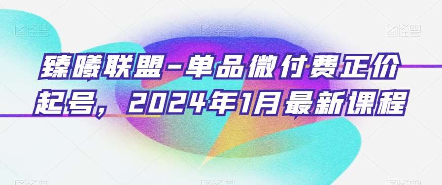 臻曦联盟-单品微付费正价起号，2024年1月最新课程-时光论坛