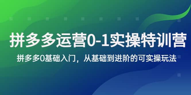 拼多多-运营0-1实操训练营，拼多多0基础入门，从基础到进阶的可实操玩法-时光论坛