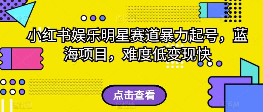 小红书娱乐明星赛道暴力起号，蓝海项目，难度低变现快【揭秘】-时光论坛