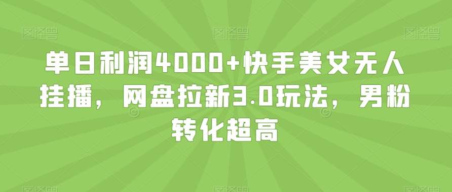 单日利润4000+快手美女无人挂播，网盘拉新3.0玩法，男粉转化超高【揭秘】-时光论坛