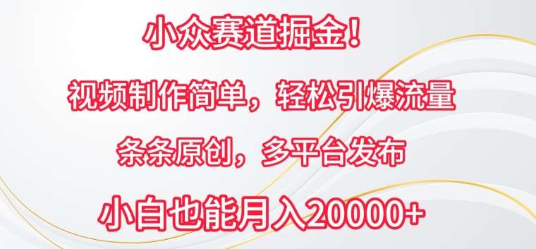 小众赛道掘金，视频制作简单，轻松引爆流量，条条原创，多平台发布【揭秘】-时光论坛