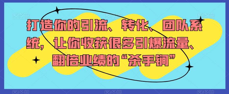 打造你的引流、转化、团队系统，让你收获很多引爆流量、翻倍业绩的“杀手锏”-时光论坛