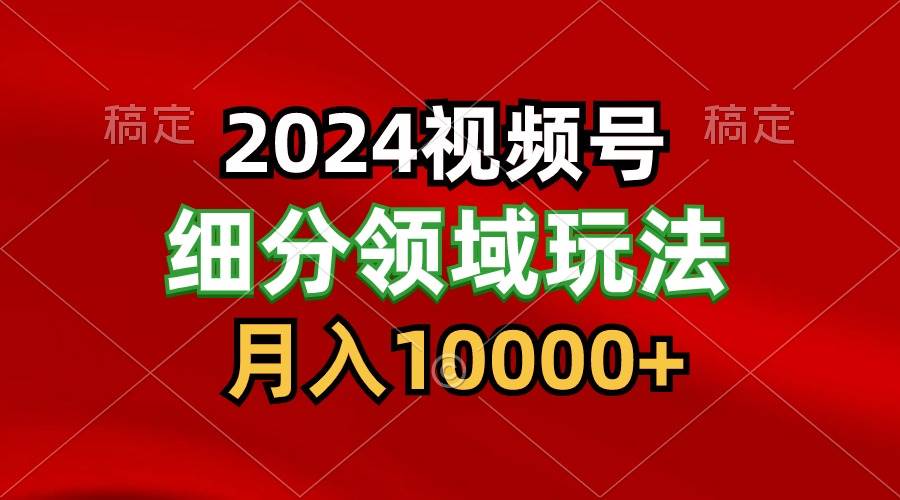 2024视频号分成计划细分领域玩法，每天5分钟，月入1W+-时光论坛