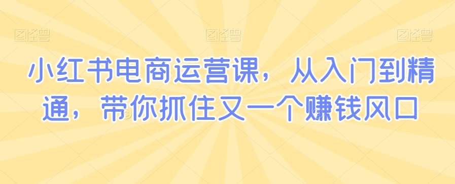 小红书电商运营课，从入门到精通，带你抓住又一个赚钱风口-时光论坛