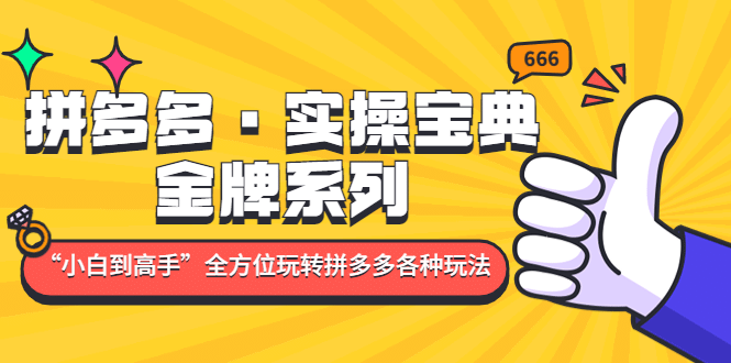 拼多多·实操宝典：金牌系列“小白到高手”带你全方位玩转拼多多各种玩法-时光论坛