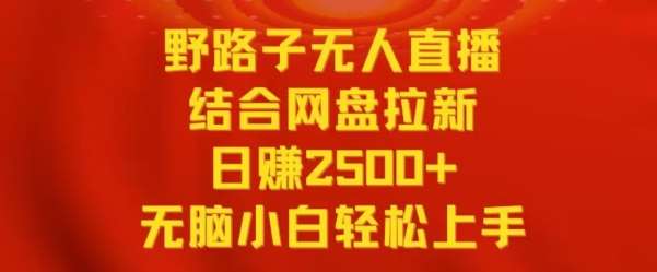 野路子无人直播结合网盘拉新，日赚2500+，小白无脑轻松上手【揭秘】-时光论坛