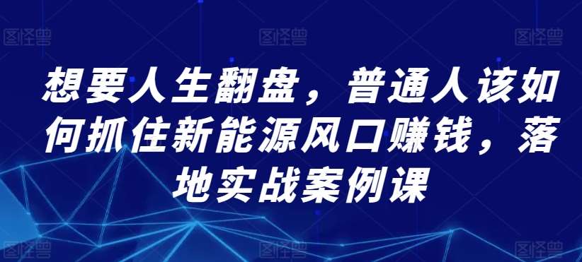 想要人生翻盘，普通人该如何抓住新能源风口赚钱，落地实战案例课-时光论坛