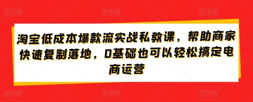 淘宝低成本爆款流实战私教课，帮助商家快速复制落地，0基础也可以轻松搞定电商运营-时光论坛