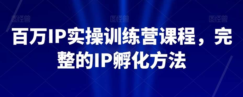 百万IP实操训练营课程，完整的IP孵化方法-时光论坛