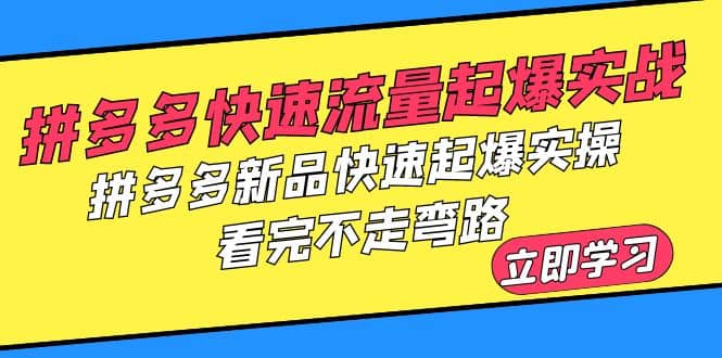 拼多多-快速流量起爆实战，拼多多新品快速起爆实操，看完不走弯路-时光论坛