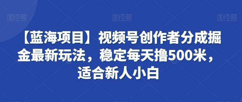 【蓝海项目】视频号创作者分成掘金最新玩法，稳定每天撸500米，适合新人小白【揭秘】-时光论坛