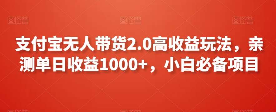支付宝无人带货2.0高收益玩法，亲测单日收益1000+，小白必备项目【揭秘】-时光论坛
