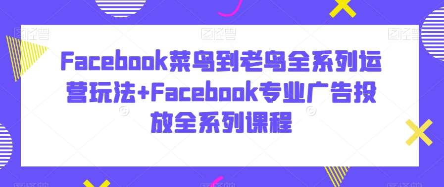 Facebook菜鸟到老鸟全系列运营玩法+Facebook专业广告投放全系列课程-时光论坛