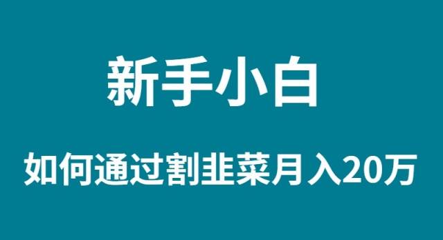 （9308期）新手小白如何通过割韭菜月入 20W-时光论坛