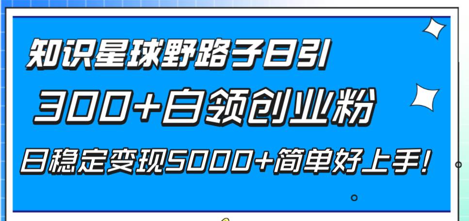 （8315期）知识星球野路子日引300+白领创业粉，日稳定变现5000+简单好上手！-时光论坛
