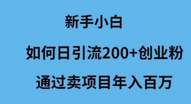 （9668期）新手小白如何日引流200+创业粉通过卖项目年入百万-时光论坛