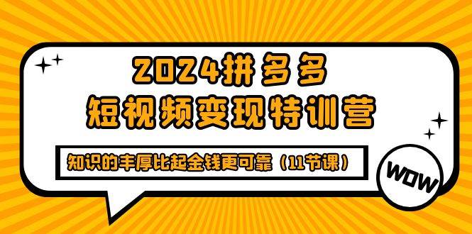 （9817期）2024拼多多短视频变现特训营，知识的丰厚比起金钱更可靠（11节课）-时光论坛