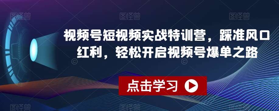 视频号短视频实战特训营，踩准风口红利，轻松开启视频号爆单之路-时光论坛