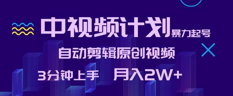 中视频计划暴力起号，自动剪辑原创视频，3分钟上手，月入2W+【揭秘】-时光论坛