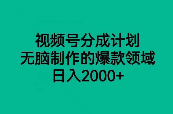 视频号分成计划，无脑制作的爆款领域，日入2000+-时光论坛