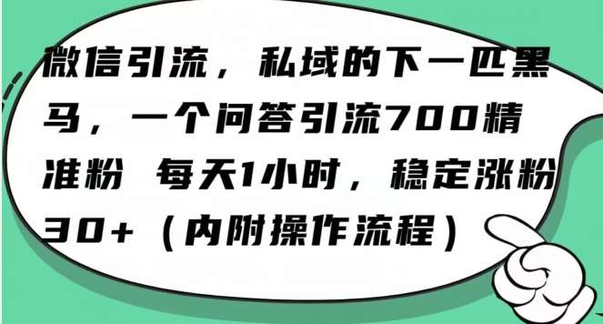 怎么搞精准创业粉？微信新赛道，每天一小时，利用Ai一个问答日引100精准粉-时光论坛