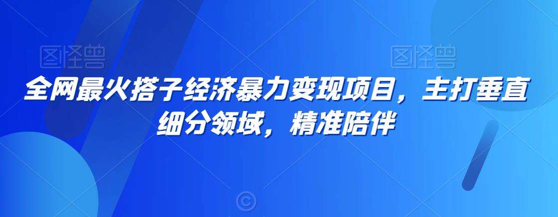 全网最火搭子经济暴力变现项目，主打垂直细分领域，精准陪伴【揭秘】-时光论坛