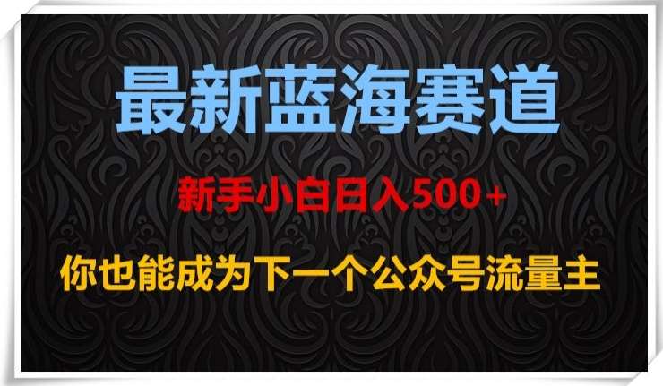 最新蓝海赛道，新手小白日入500+，你也能成为下一个公众号流量主【揭秘】-时光论坛