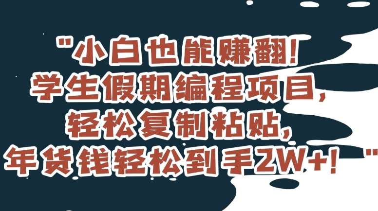 小白也能赚翻！学生假期编程项目，轻松复制粘贴，年货钱轻松到手2W+【揭秘】-时光论坛