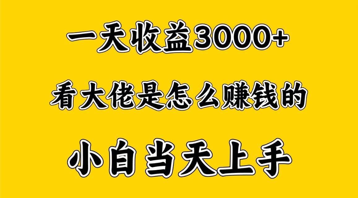 一天赚3000多，大佬是这样赚到钱的，小白当天上手，穷人翻身项目-时光论坛